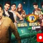 What Does Bigg Boss Say About Us?