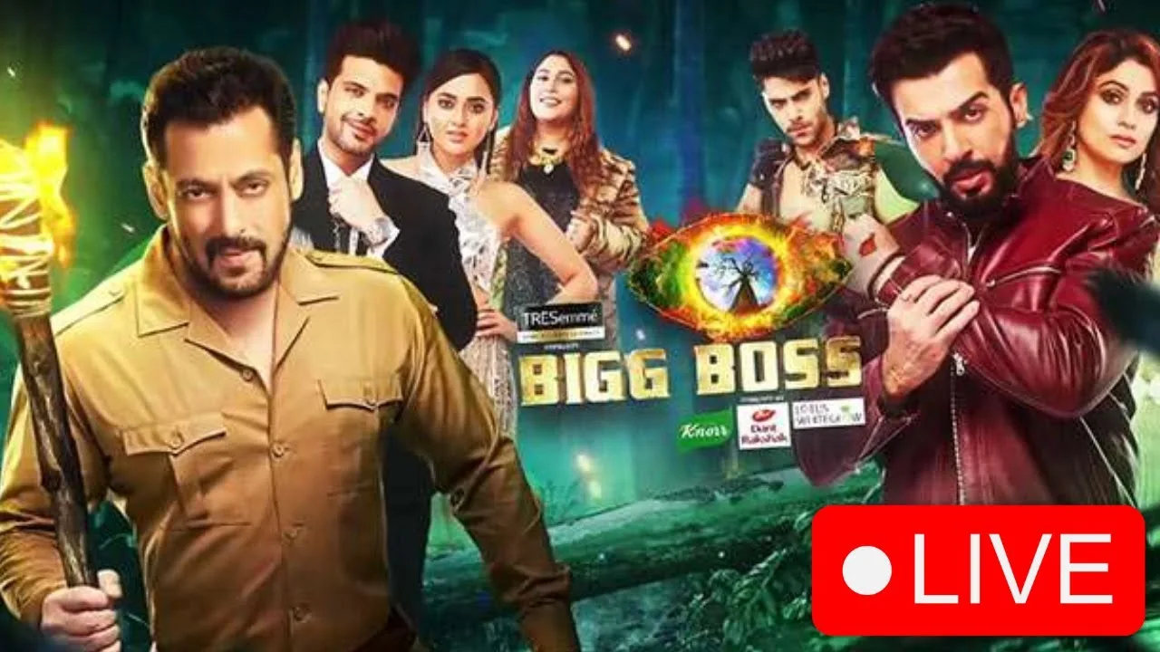 What shitty audiences of shows like Big Boss reflect for a society?