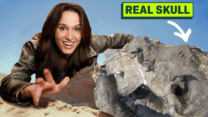 Cleo Abram’s Dinosaur Video is the Best on YouTube Right Now