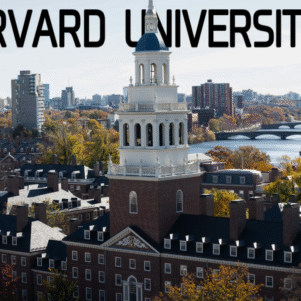 None of the top Universities of the world have a solution to the world's crucial problems 