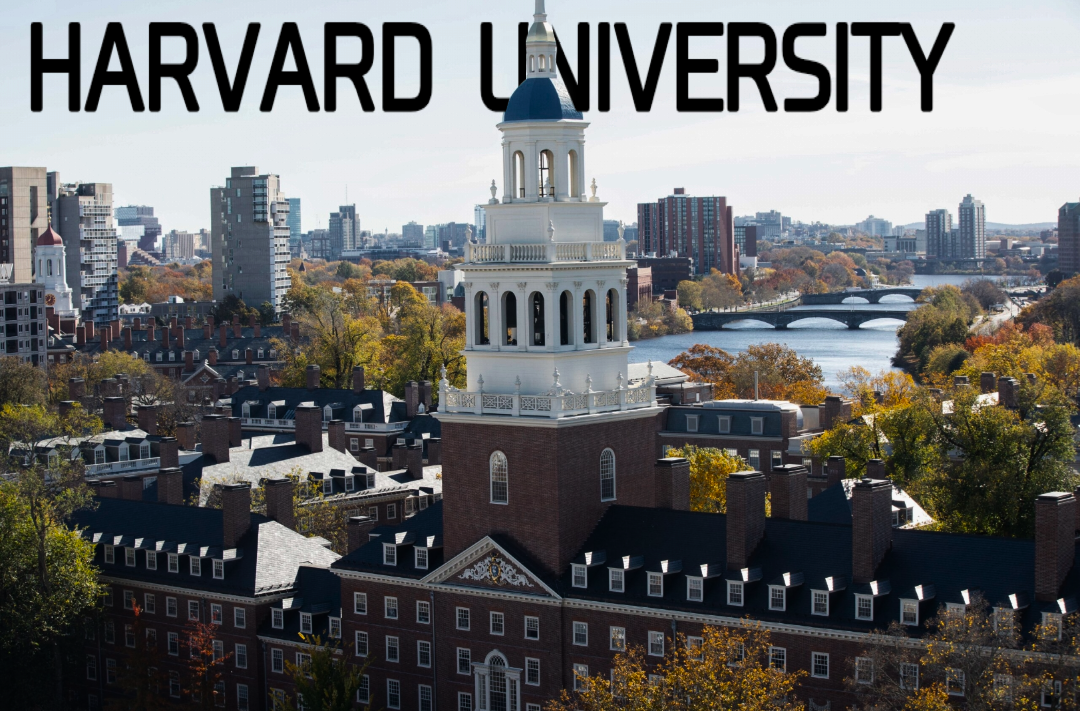 None of the top Universities of the world have a solution to the world's crucial problems 